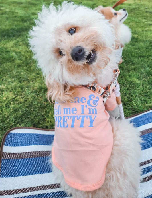 Puppy & Dog T-Shirts