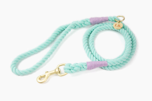 Rope Leash- Mint/Lilac