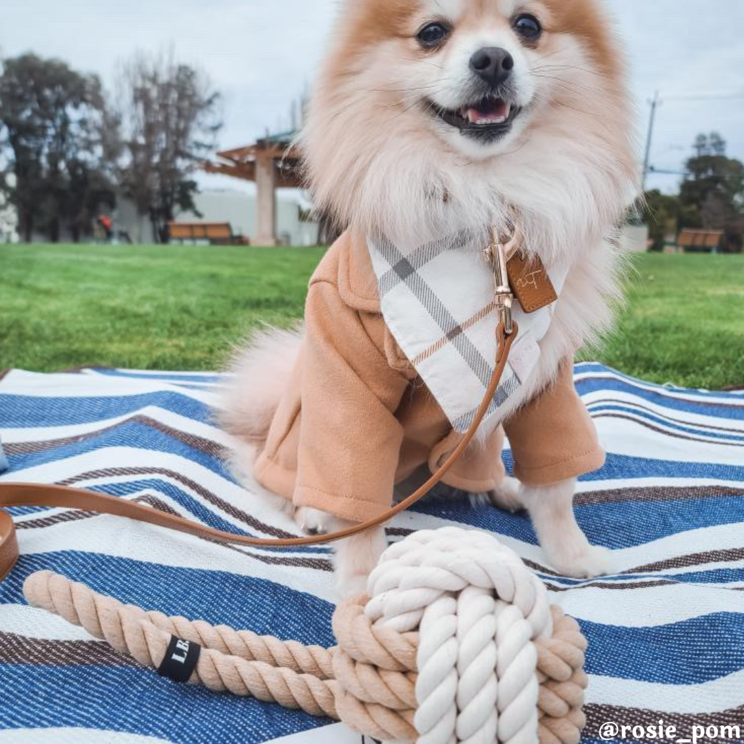 What-a-Tug™ Large Twisted Rope Toy