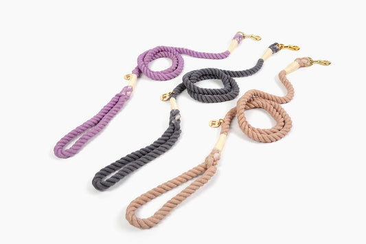 How to Shop for the Best Dog Leash