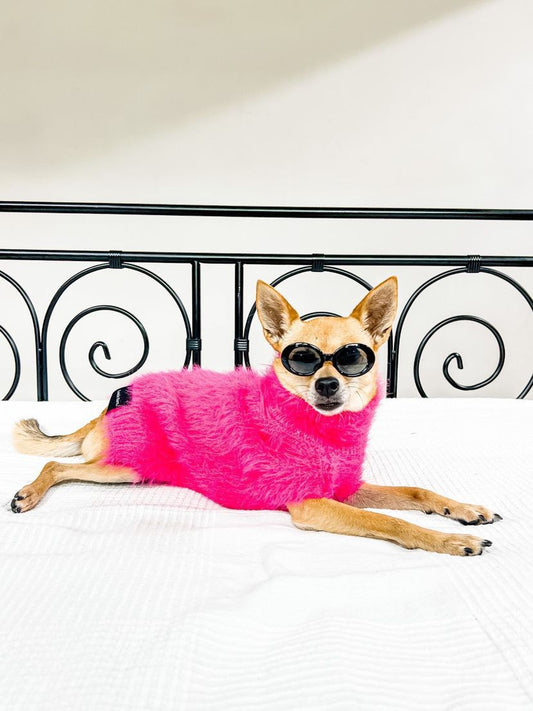 Dog Sweaters: Designer Small & Large Sweaters