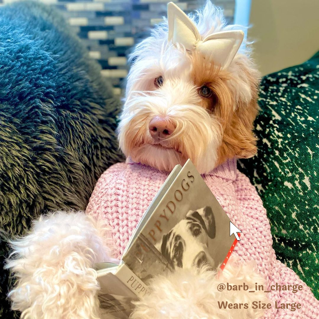 Dog sweaters best sale size small