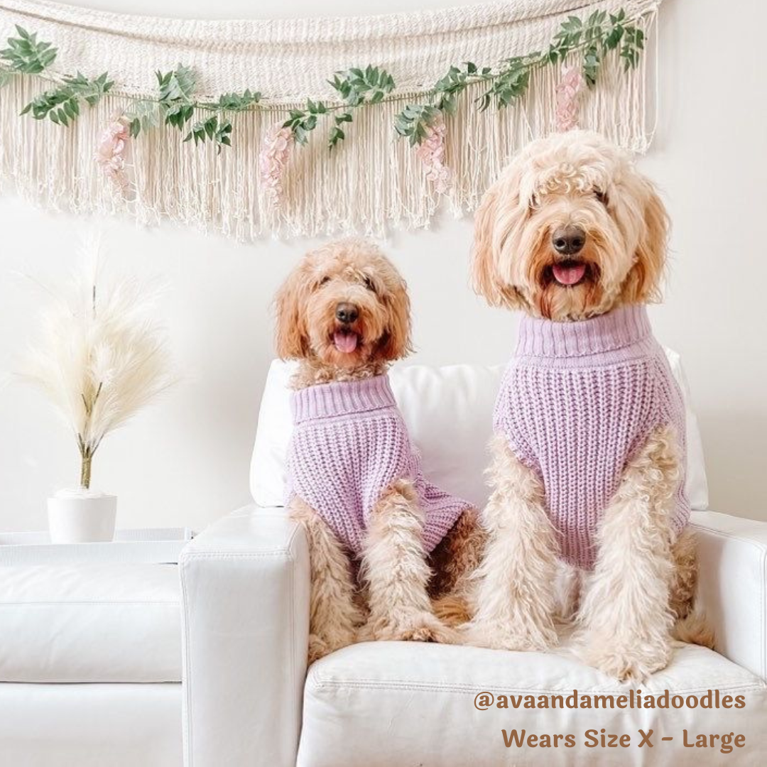 Louis Pup Pink Sweater