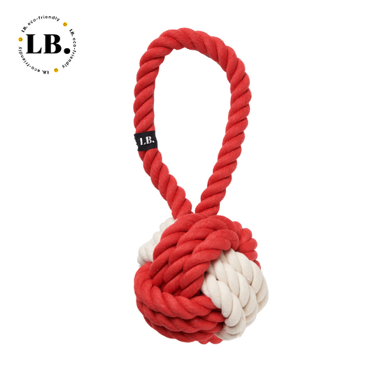 Dog Toys for Puppies