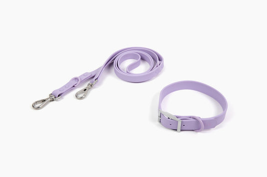 “Let’s Go Anywhere” PVC Dog Collar & Collar Set - Lilac