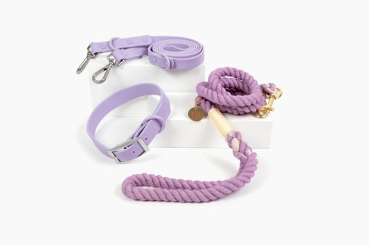 The "Walk In Style" - Collar Leash Bundle