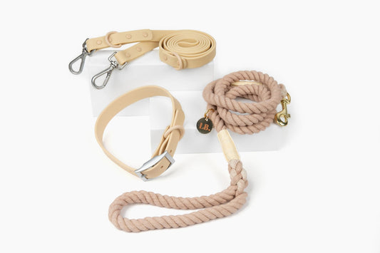 The "Walk In Style" - Collar Leash Bundle