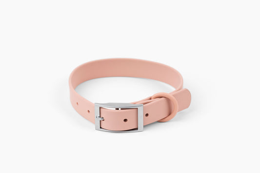 “Let’s Go Anywhere” PVC Dog Collar - Blush